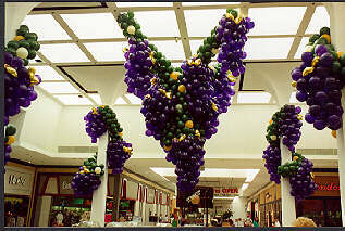 grapes1.jpg (23531 bytes)