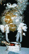 img.jpg (9712 bytes)