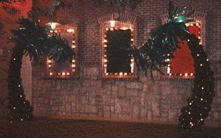 palms.jpg (24802 bytes)