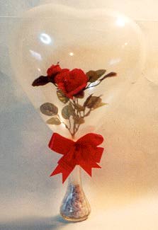 rose.jpg (9314 bytes)
